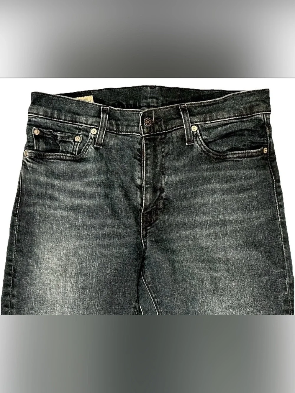 Levis levis 511